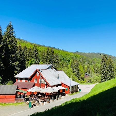 Penzion Lesní Zátiší- Harrachov Exterior foto