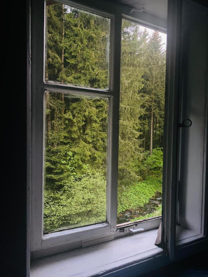 Penzion Lesní Zátiší- Harrachov Exterior foto