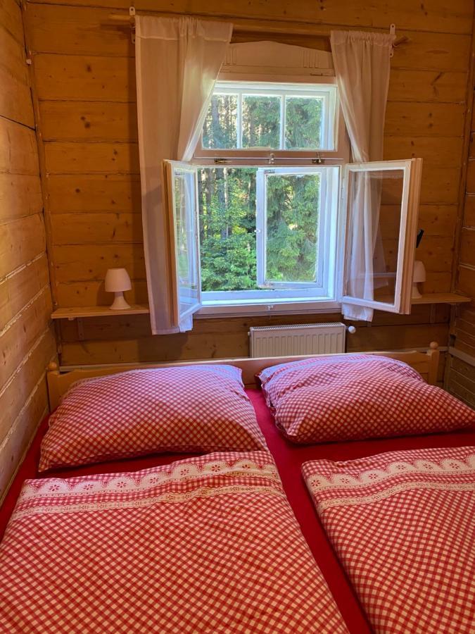 Penzion Lesní Zátiší- Harrachov Exterior foto