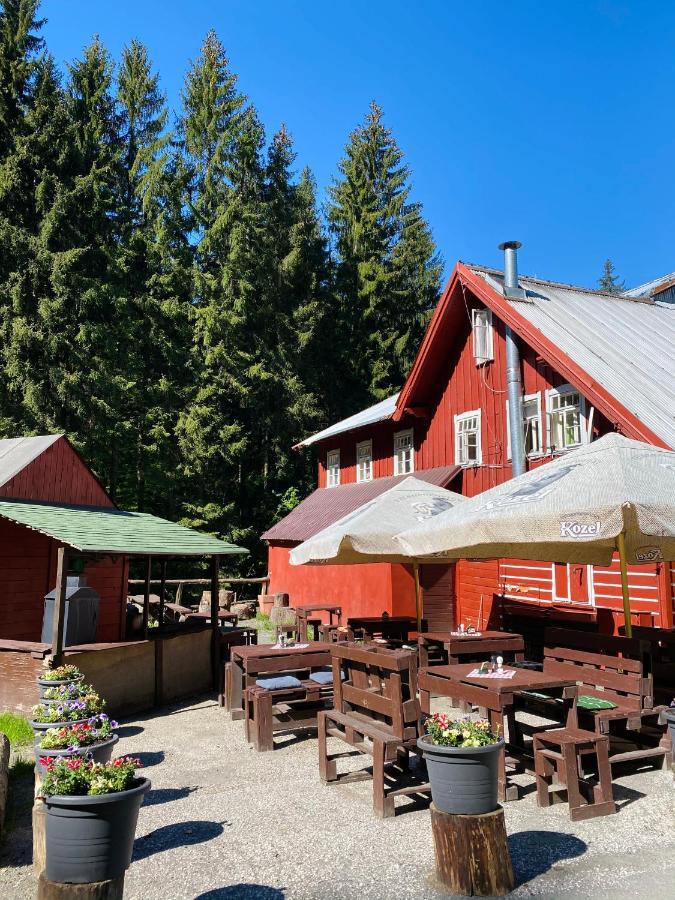 Penzion Lesní Zátiší- Harrachov Exterior foto