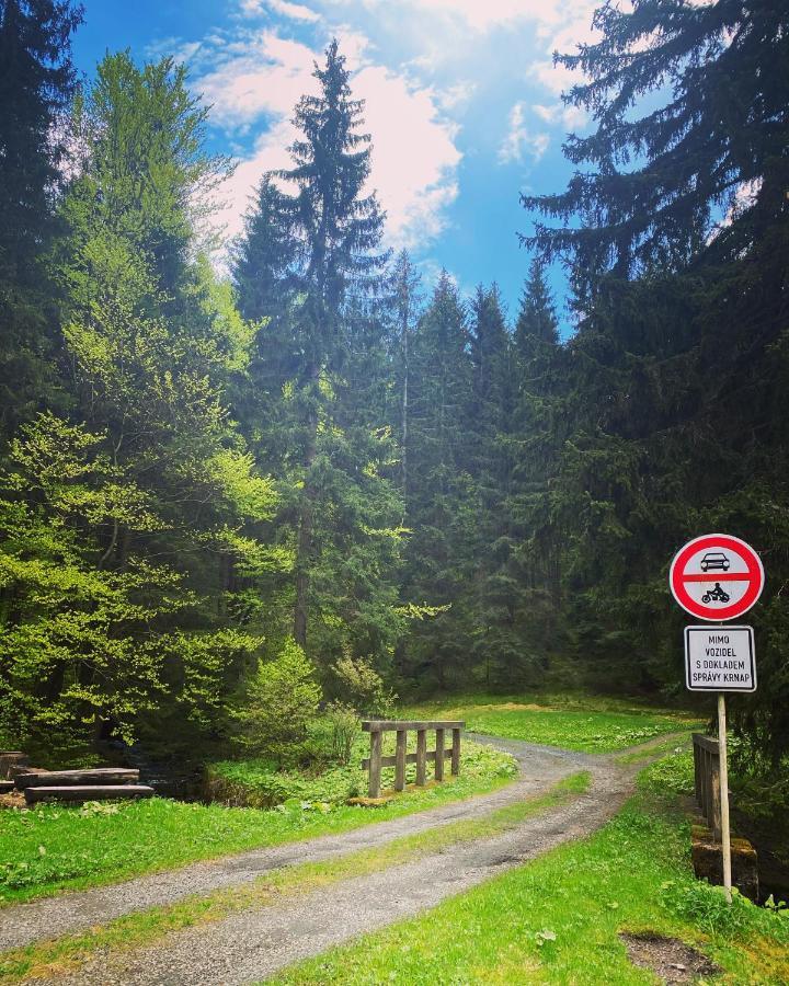 Penzion Lesní Zátiší- Harrachov Exterior foto