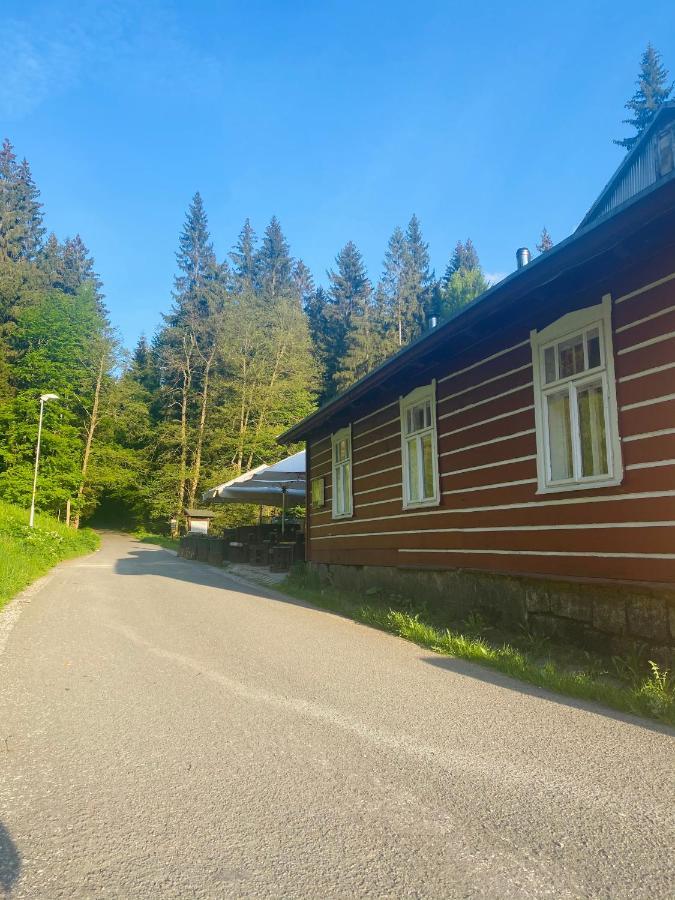 Penzion Lesní Zátiší- Harrachov Exterior foto