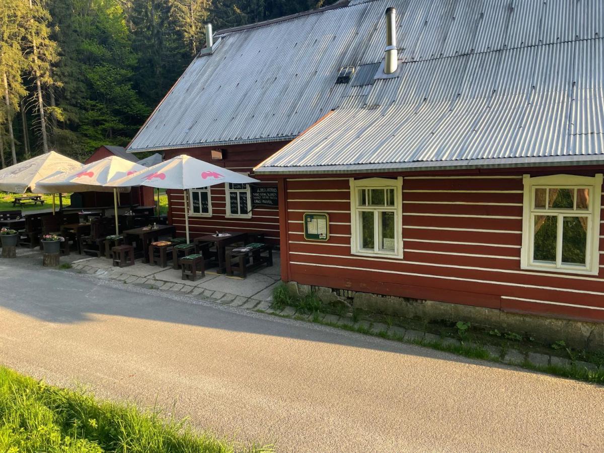 Penzion Lesní Zátiší- Harrachov Exterior foto