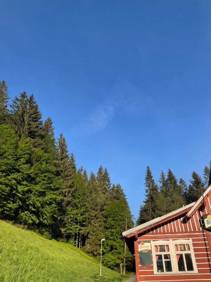 Penzion Lesní Zátiší- Harrachov Exterior foto