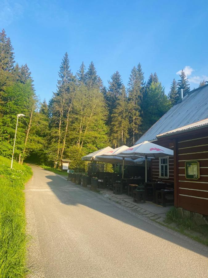 Penzion Lesní Zátiší- Harrachov Exterior foto