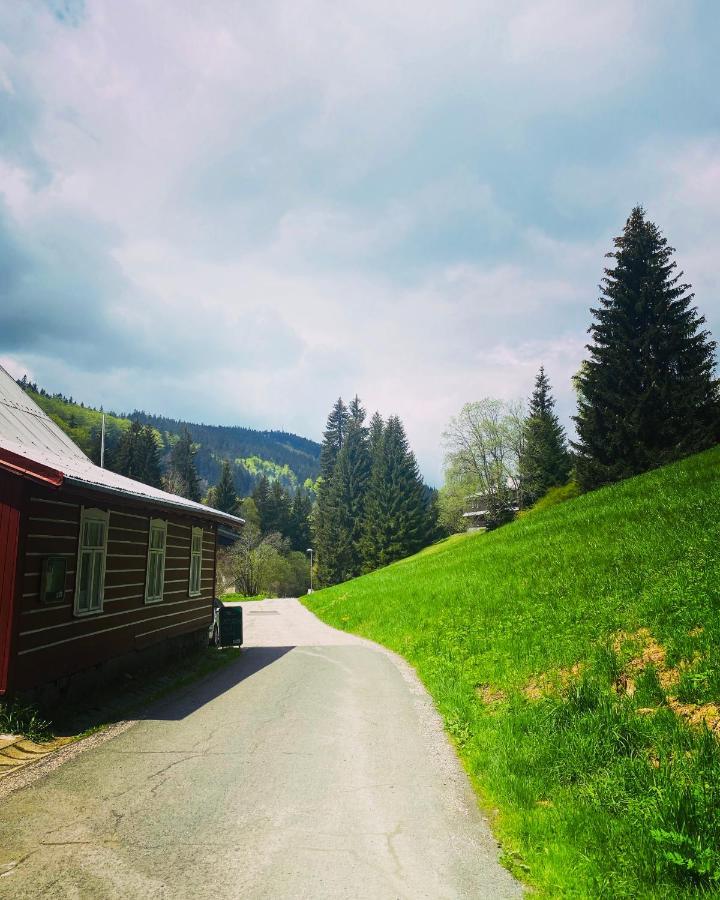 Penzion Lesní Zátiší- Harrachov Exterior foto