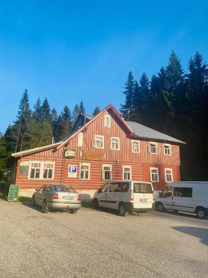 Penzion Lesní Zátiší- Harrachov Exterior foto