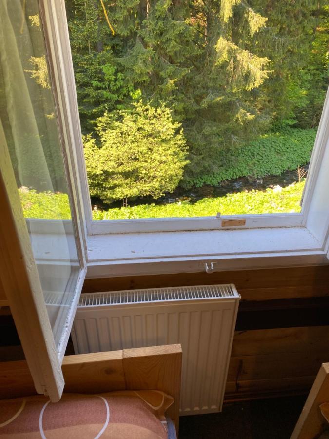 Penzion Lesní Zátiší- Harrachov Exterior foto