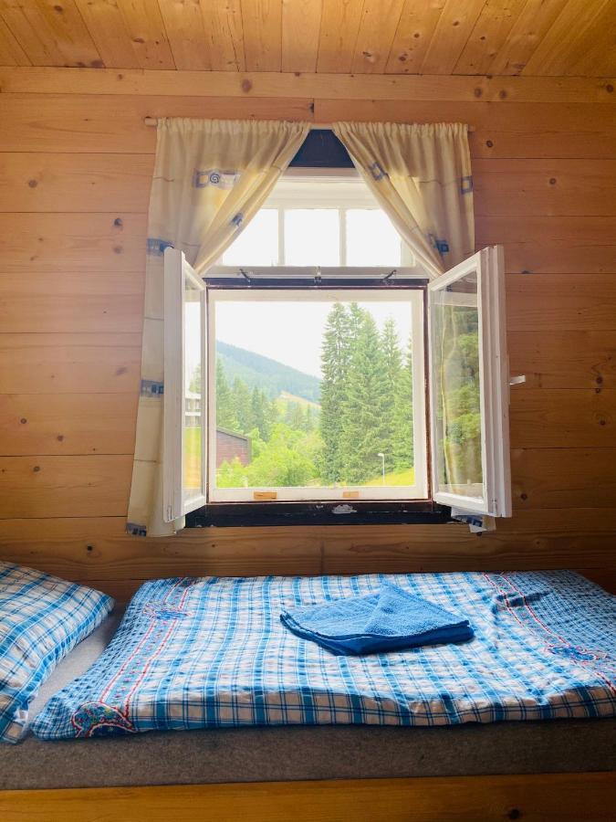 Penzion Lesní Zátiší- Harrachov Exterior foto