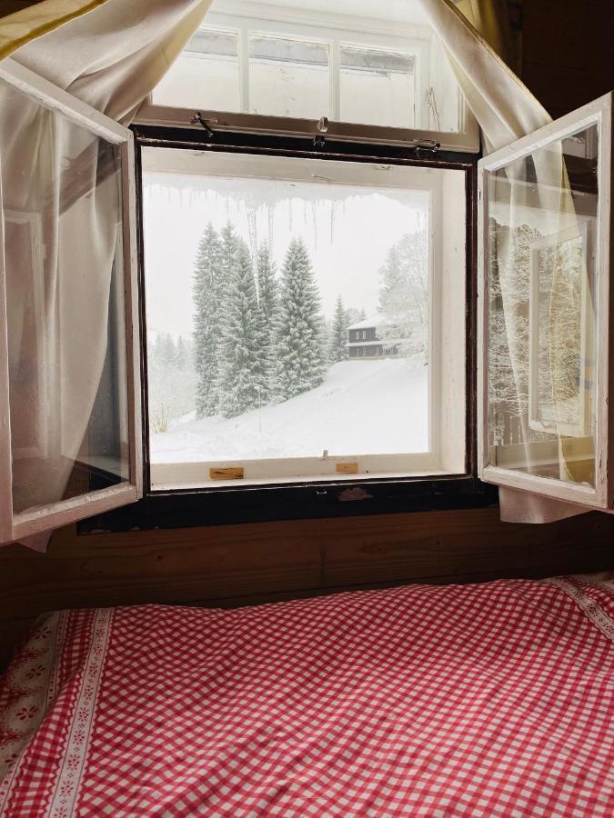 Penzion Lesní Zátiší- Harrachov Exterior foto