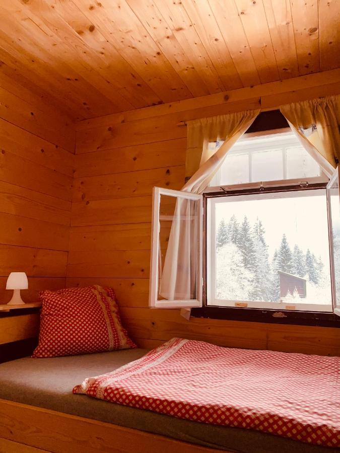 Penzion Lesní Zátiší- Harrachov Exterior foto