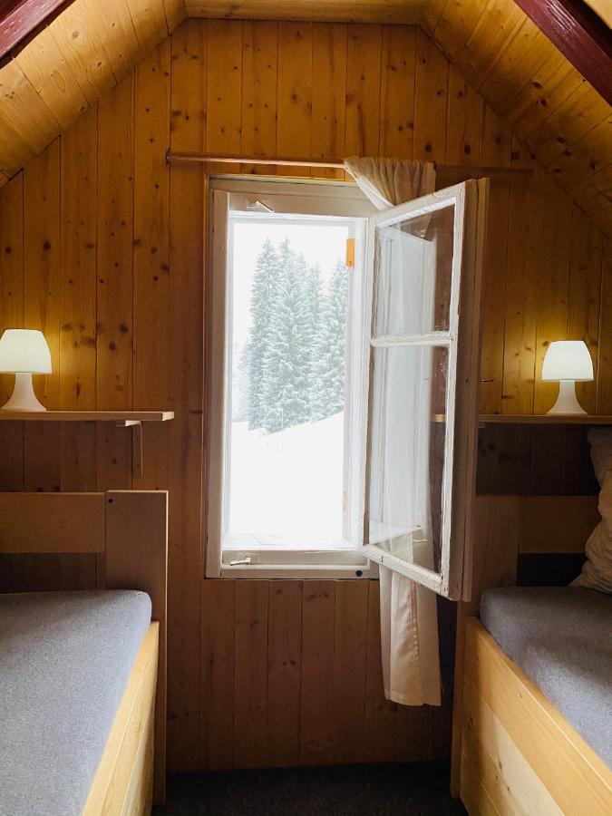 Penzion Lesní Zátiší- Harrachov Exterior foto