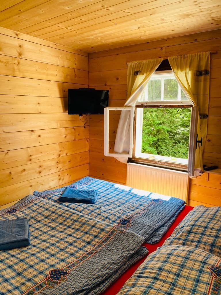 Penzion Lesní Zátiší- Harrachov Exterior foto