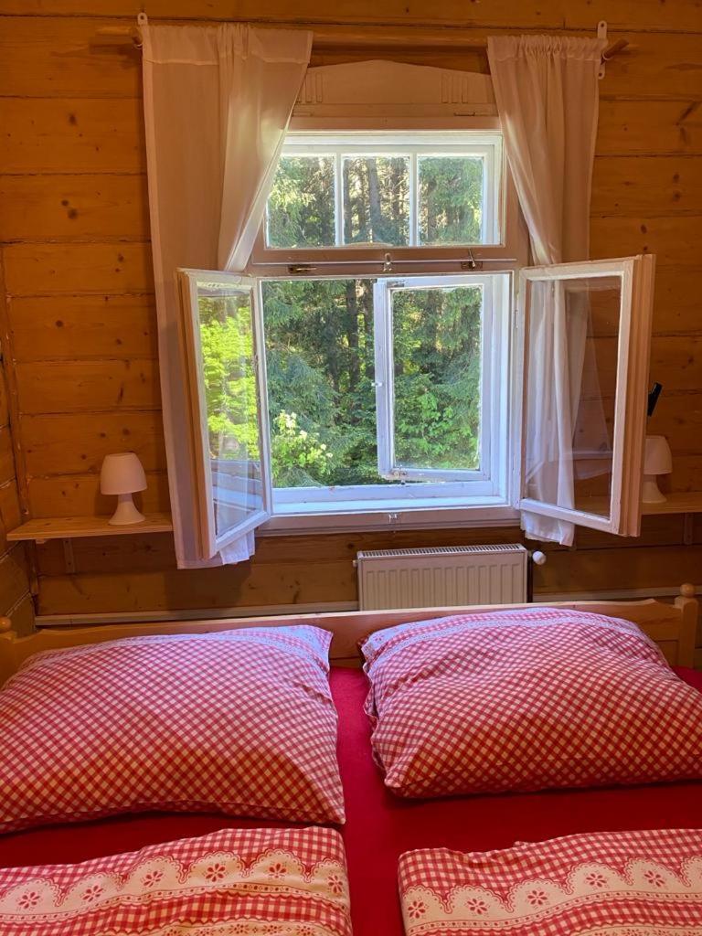 Penzion Lesní Zátiší- Harrachov Exterior foto