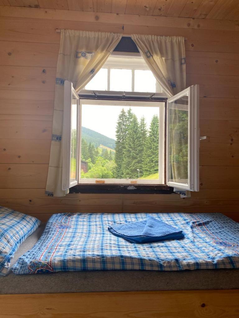 Penzion Lesní Zátiší- Harrachov Exterior foto